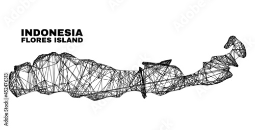carcass irregular mesh Flores Island of Indonesia map. Abstract lines form Flores Island of Indonesia map. Wire carcass flat network in vector format.