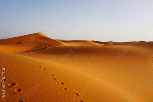 The dunes of Erg Chebbi, Morocco