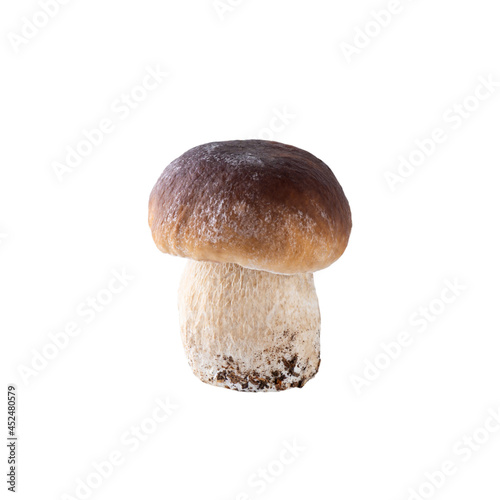 Boletus mushroom isolated on white.