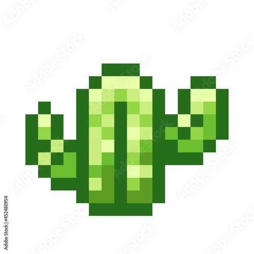 Cactus pixel art. Vector picture.