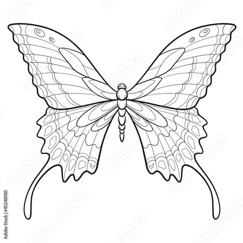 Hand drawn ornamental butterfly outline illustration with decorative ornaments