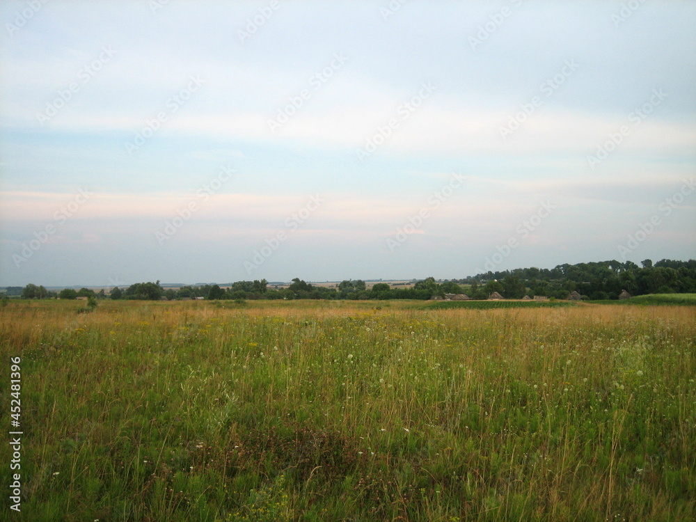 Fototapeta premium The flat rural mown field begins to turn green again. There is a cloudy evening sky over the field.