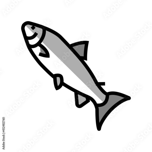 atlantic salmon color icon vector. atlantic salmon sign. isolated symbol illustration