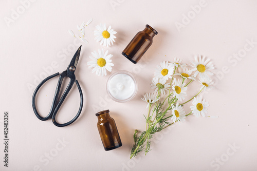 concept of natural cosmetics and healing herbs, top view
