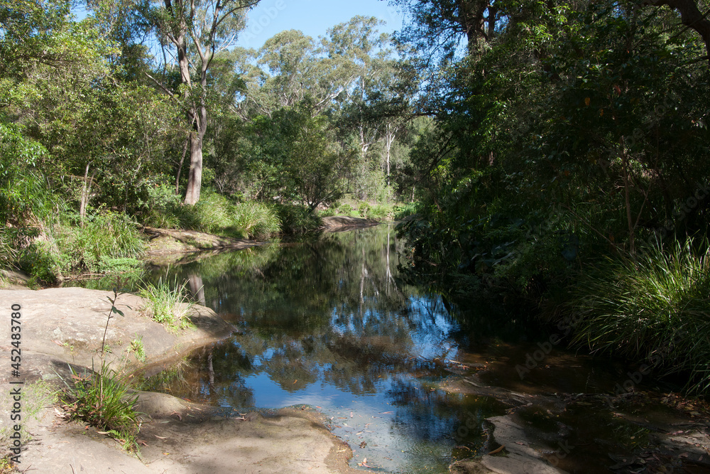 Sydney Australia, view of bushland along river in the public Lake Paramatta reserve Sydney Australia, view of bushland along river in the public Lake Paramatta reserve