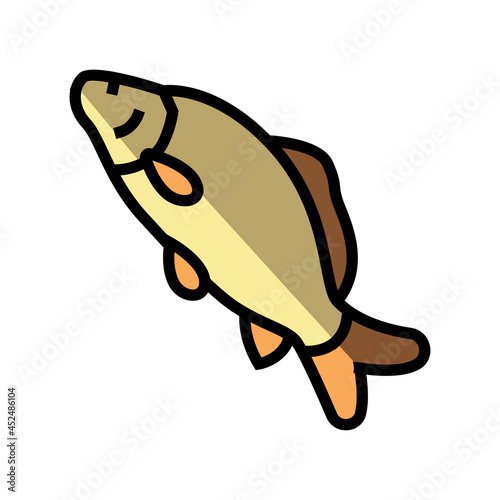 common carp color icon vector. common carp sign. isolated symbol illustration