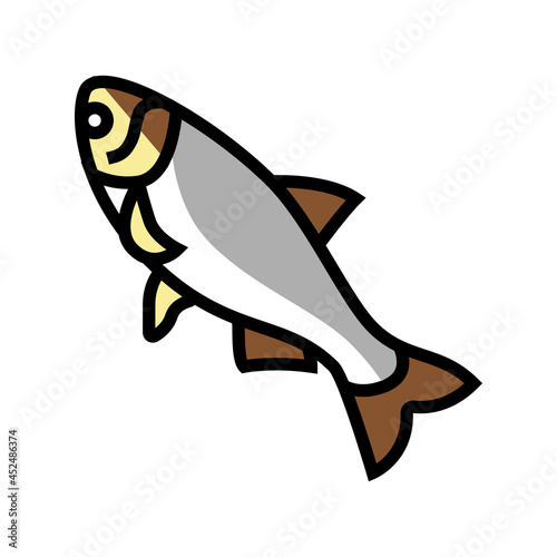 silver carp color icon vector. silver carp sign. isolated symbol illustration