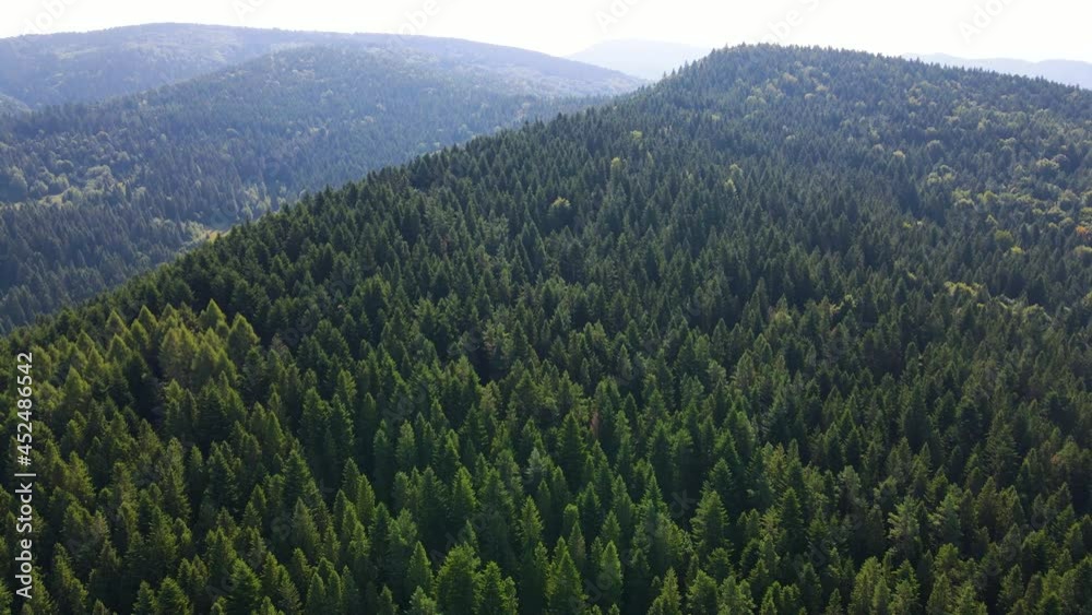 Сinematic aerial view of the endless mountains and forests of southern Slovenia. Drone flying through the forest Сinematic aerial view of the endless mountains and forests of southern Slovenia. Drone flying through the forest