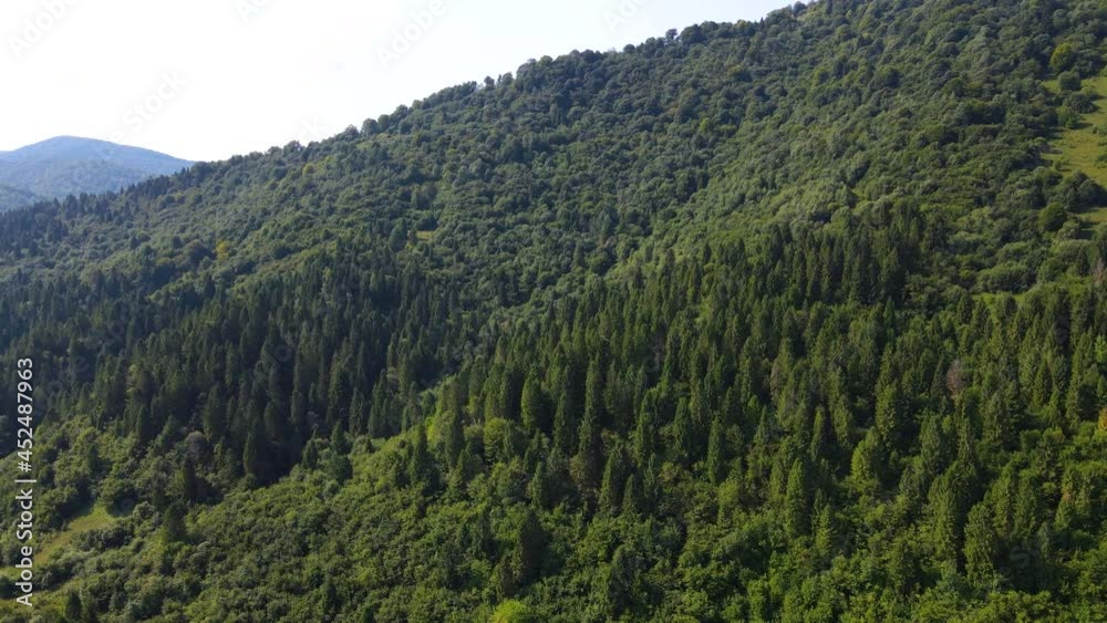 Сinematic aerial view of the endless mountains and forests of southern Slovenia. Drone flying through the forest Сinematic aerial view of the endless mountains and forests of southern Slovenia. Drone flying through the forest