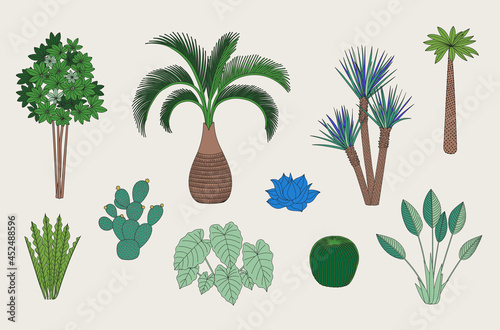 Floral Set. Exotic trees, cactus and palms. Blue and green.