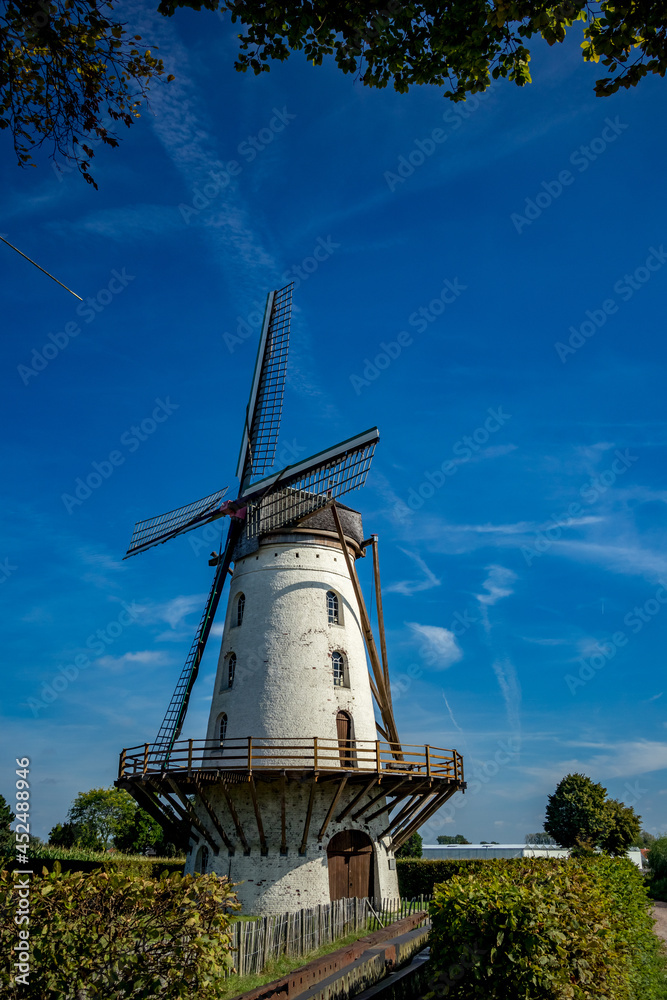 Central Belgium, windmill in vineyard, vertical frame