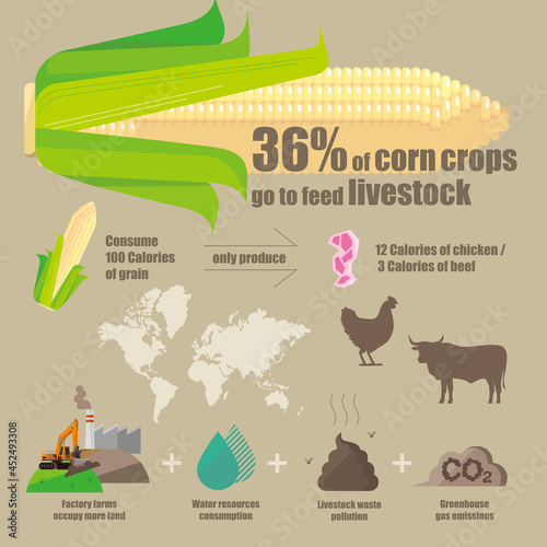 infographic diagram of the effectiveness and problems of planting crops used to feed livestock