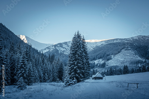 Polana Chochołowska in winter, Western Tatra Mountains, Poland. The valley and old wooden chalets covered in snow. Selective focus on the trees, blurred background.