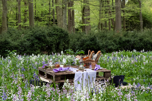 Rustic picnic table with food in a spring meadow for a woodland naming ceremony. photo