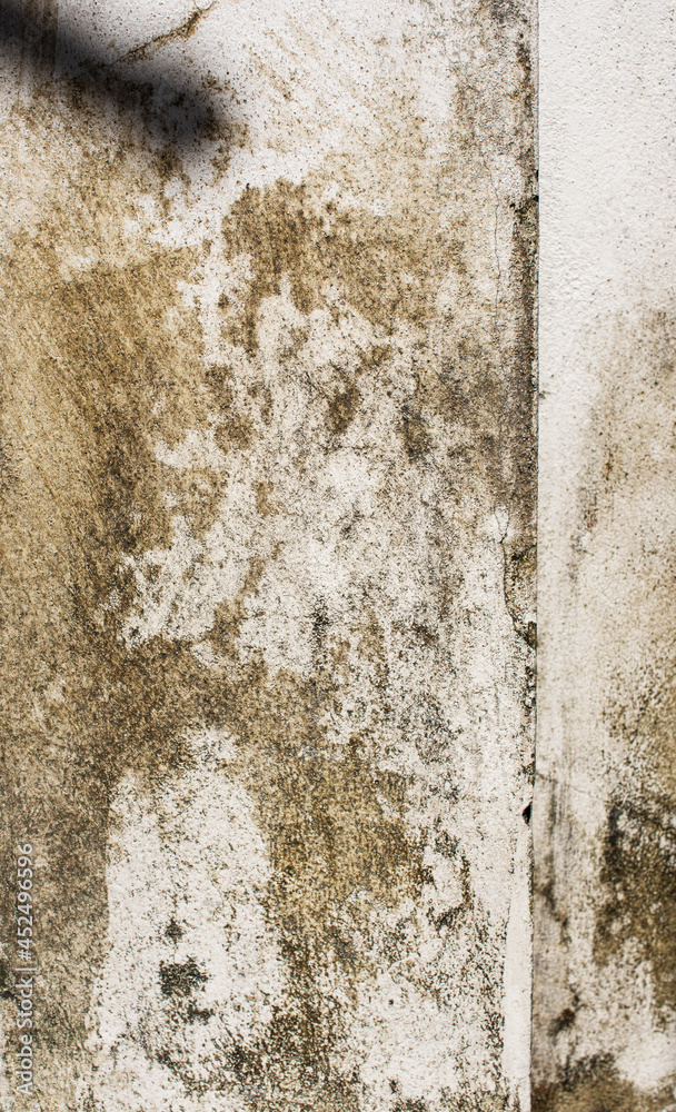 Moist stain on a concrete wall with sun light casted on. Moist stain on a concrete wall with sun light casted on.