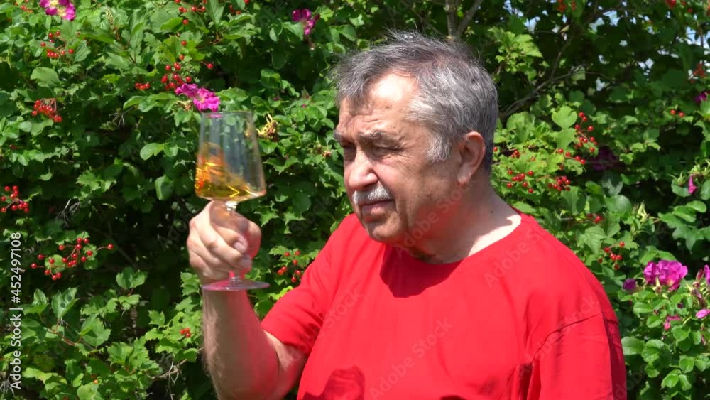 Portrait of 70-year-old elderly man drinks a glass of white wine in the garden, summer day. Portrait of 70-year-old elderly man drinks a glass of white wine in the garden, summer day.