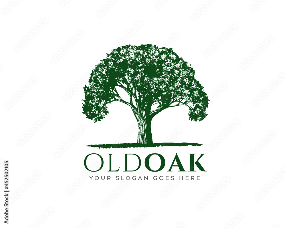 Obraz premium Vintage Old Oak Maple Tree logo design 