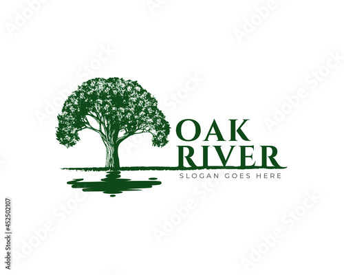 Oak Tree logo design vector template.tree and lake river water reflection