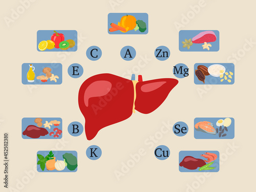 Vector infographics of vitamins and minerals for a healthy liver. Micro and macronutrients and vitamins, including foods for healthy liver nutrition.