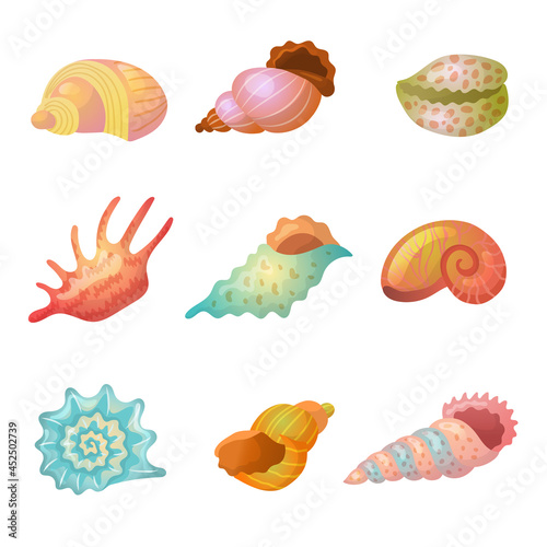 Seashell. Sea weather item starfish colorful sand items recent vector stylized seashells isolated