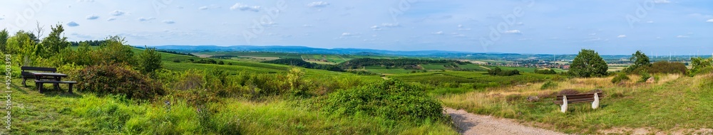 Panoramic shot of the Rheinhessen wine-growing region 