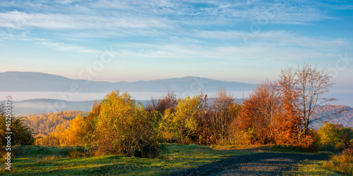 autumnal countryside of carpathian mountains. road in the top of a hill. trees in bright yellow foliage along the way in morning light. foggy valley in the distance. sunny weather with clouds © Pellinni