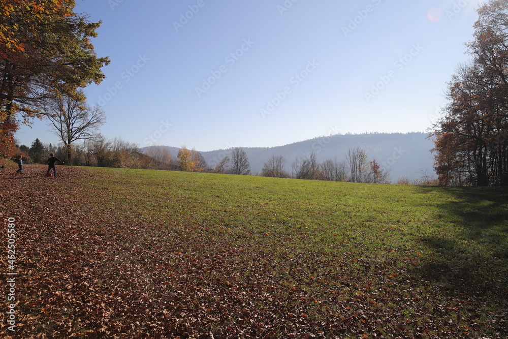 Fototapeta premium Herbst