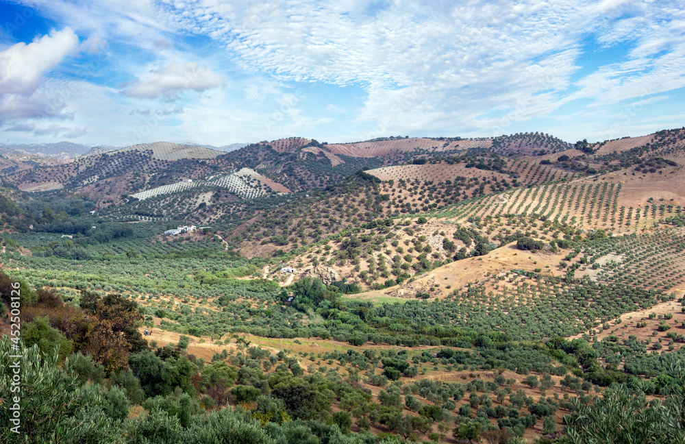 Andalusian agriculture