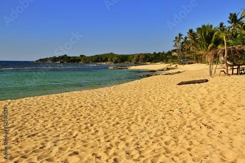 Beautiful beach with palm trees