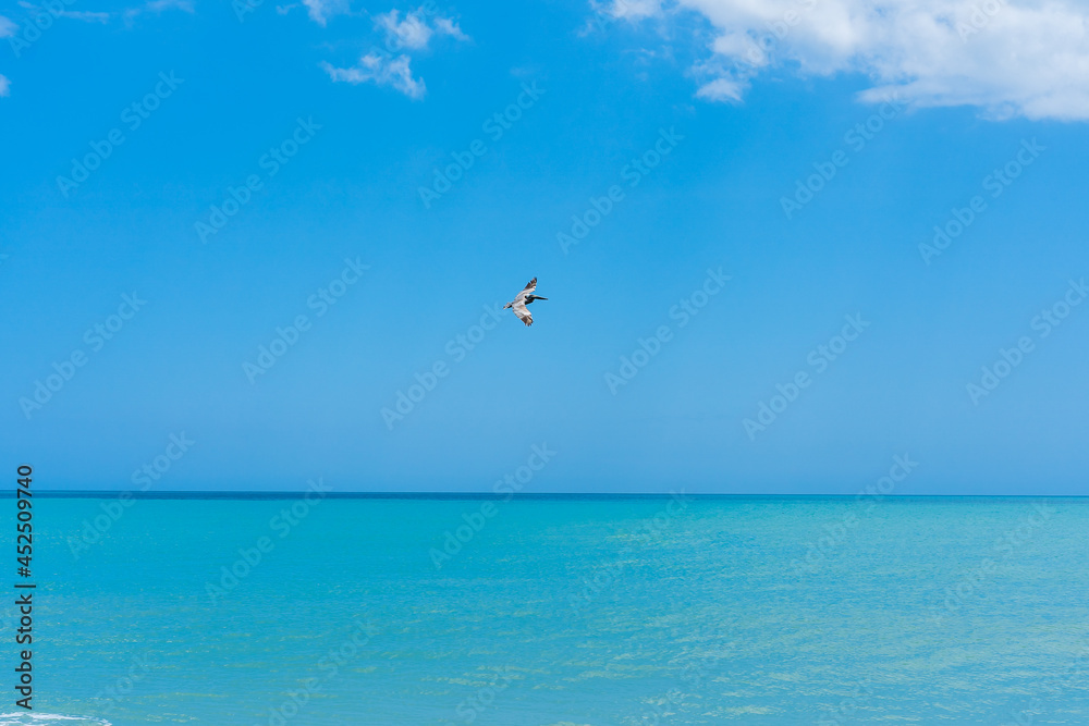 The blue sky merges on the horizon with the turquoise sky. A pelican can be seen in flight