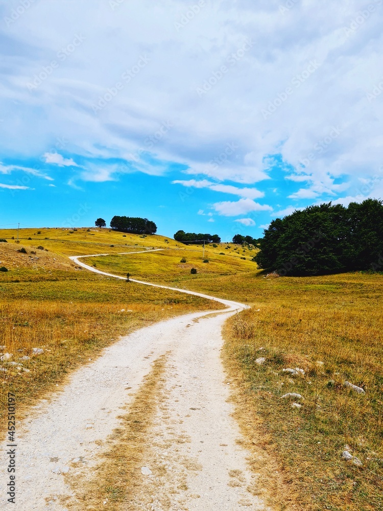 Fototapeta premium dirt road in the mountains in the woods