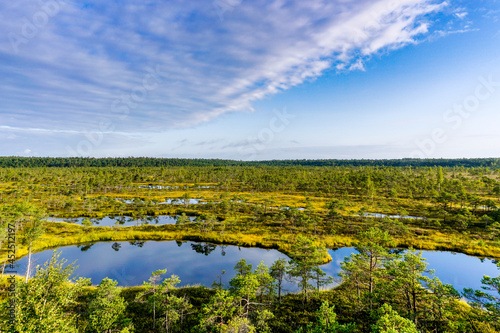 high angle view of lakes and lagoons in a raised bog and marsh landscape