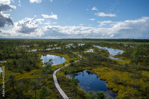 high angle view of lakes and lagoons in a raised bog and marsh landscape photo