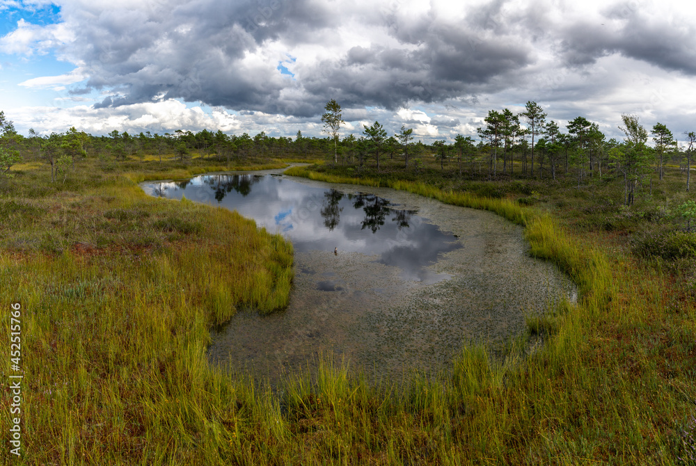 raised bog and marsh landscape under an expressive sky