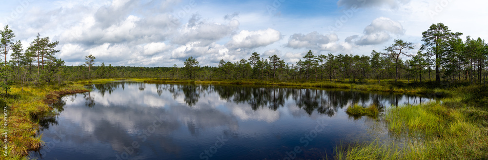 panorama of a peat bog and blue lake landscape under an expressive sky with white clouds