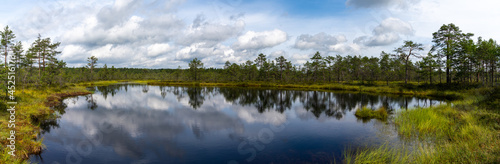 Fototapeta Naklejka Na Ścianę i Meble -  panorama of a peat bog and blue lake landscape under an expressive sky with white clouds