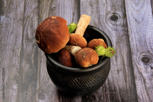 Mushroom Boletus on dark Background. Boletus edulis mushrooms on old wooden background. organic porcini Mushroom