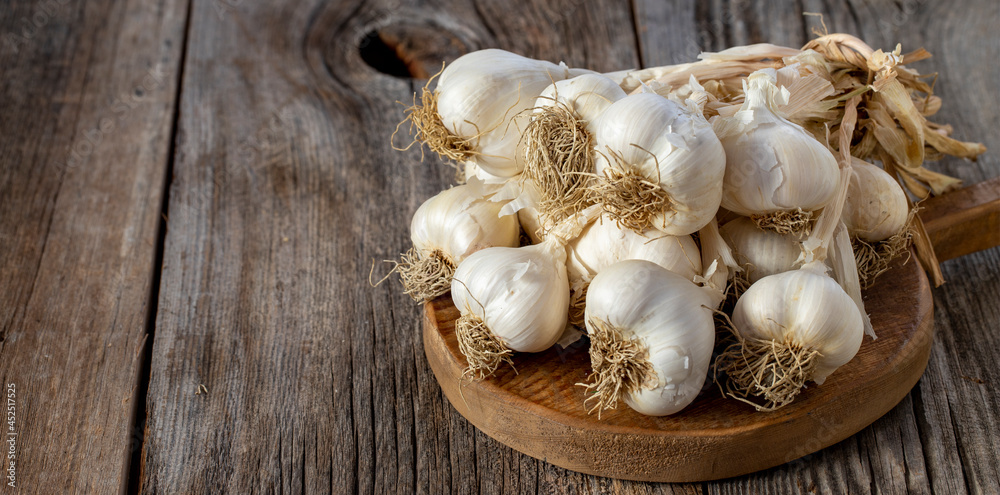 fresh ripe garlic on wood background. Copy space