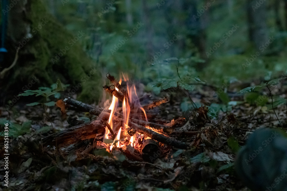 a small bonfire burns at dusk in a green forest a small bonfire burns at dusk in a green forest