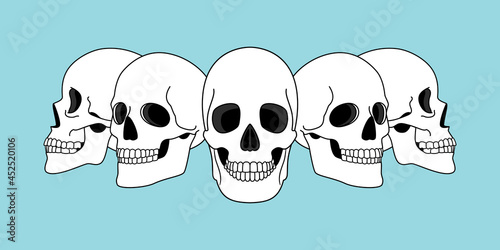 Skulls views. Funny horror spooky skull front and side view illustrations isolated on background, vector skeleton tattoo anatomical face drawings, scary hell smile