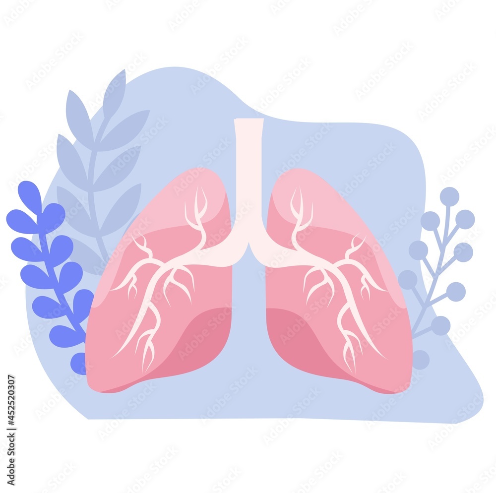 Lungs flat icons vector illustration Lungs flat icons vector illustration