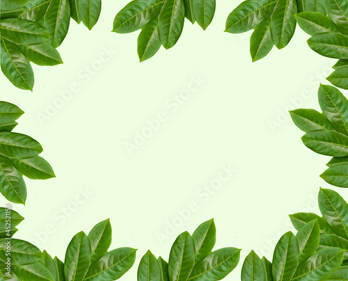 Nice light violet background with frame of green leafs 