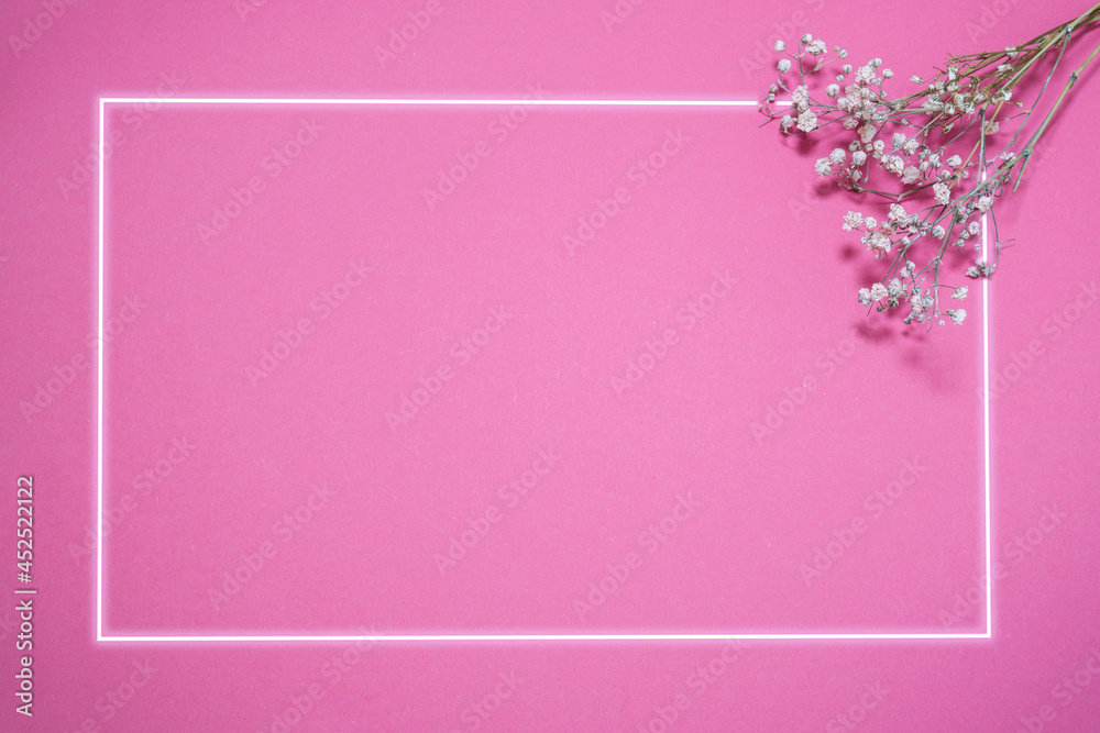 Artistic natural background. White dry flowers on a pink background with neon violet frame 