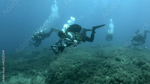 Wallpaper Mural Group of scuba divers swims in the blue water above rocky seabed. Mediterranean Sea, Cyprus Torontodigital.ca