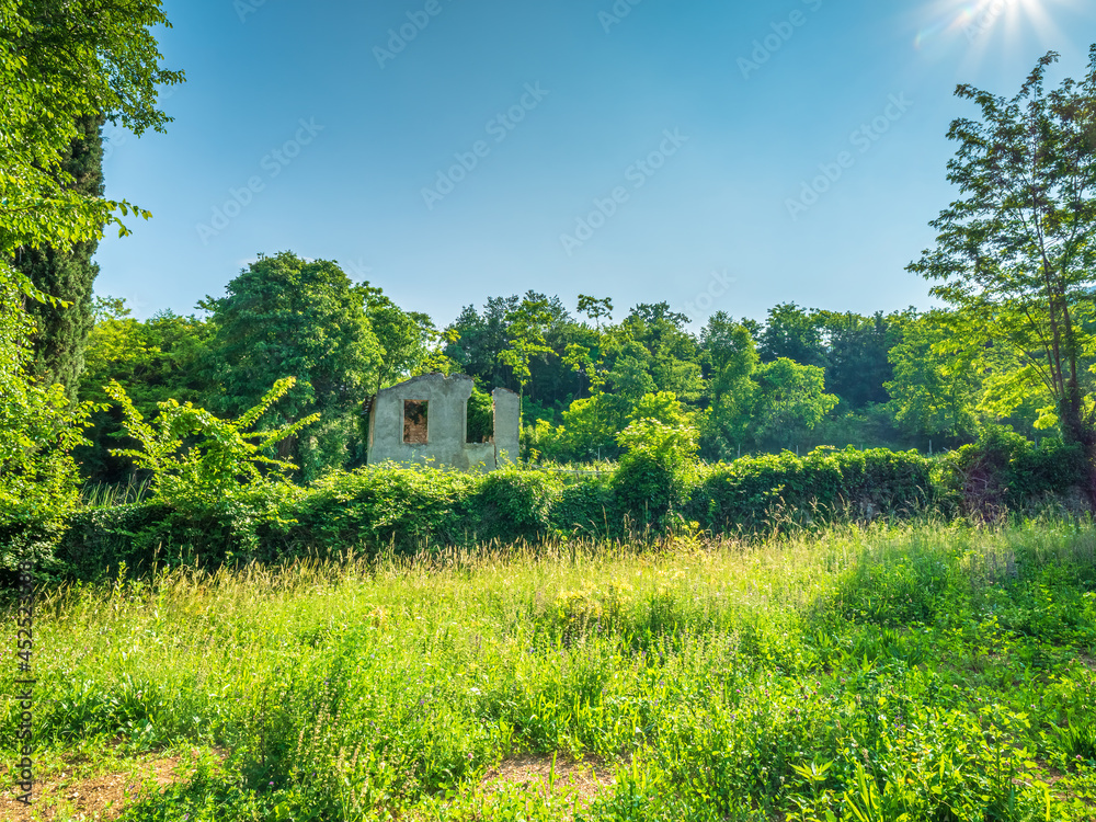 Green landscape with a wine field and an old bricked house in Italy Green landscape with a wine field and an old bricked house in Italy