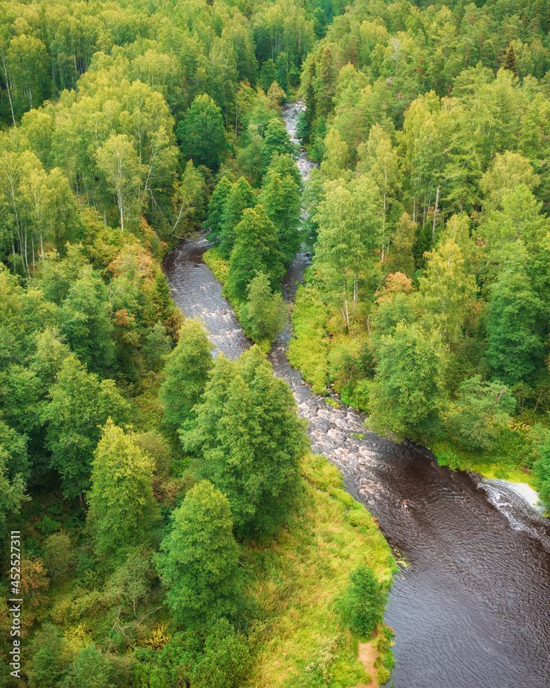 The river in the forest Lindulovskaya grove on the Karelian isthmus, top view from a drone