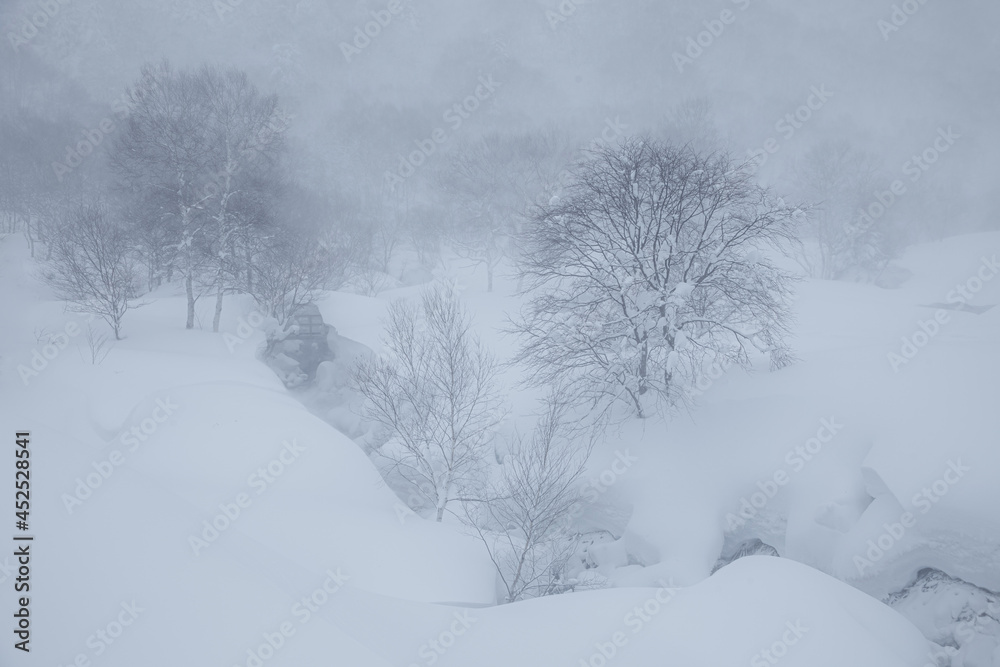 Obraz premium 小川が雪庇に覆われて雪原に裂け目ができた冬の高原風景