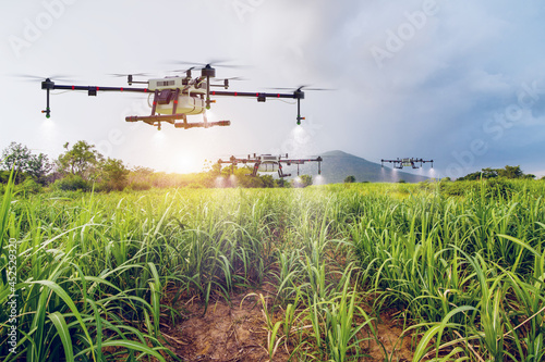 Agriculture drone flying on sugar cane farm to sprayed fertilizer, 3d illustration rendering photo