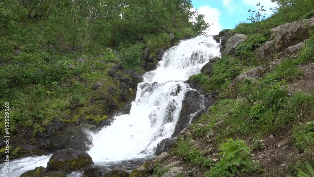 A mountain river cascades down the slope. The water foams and splashes on the rocks. On the banks of the green grass, wildflowers, trees. Blue sky. Kamchatka A mountain river cascades down the slope. The water foams and splashes on the rocks. On the banks of the green grass, wildflowers, trees. Blue sky. Kamchatka
