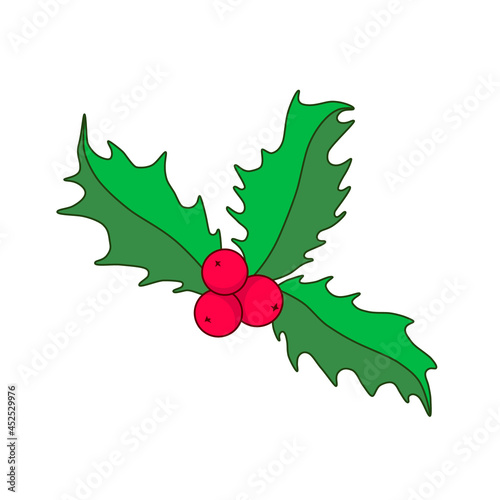 Christmas holly. Holly leaves and berries vector illustration. Christmas icon. Element for design. 